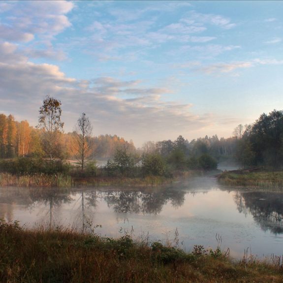 Брест — Беловежская пуща