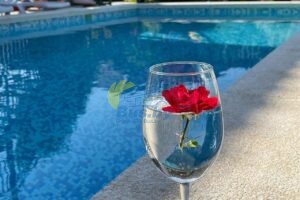 Джемете, гостевой дом Чайка на поезде