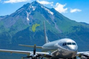 Кобулети, гостевой дом Sofia на самолете